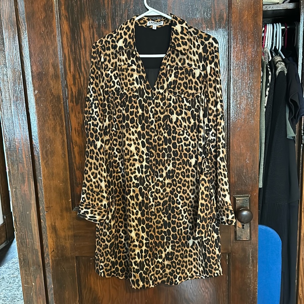Express Portofino Shirt Dress